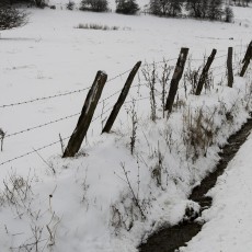 Winter in Dochamps